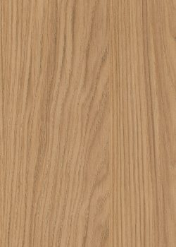 58-O-Chene-bordelais